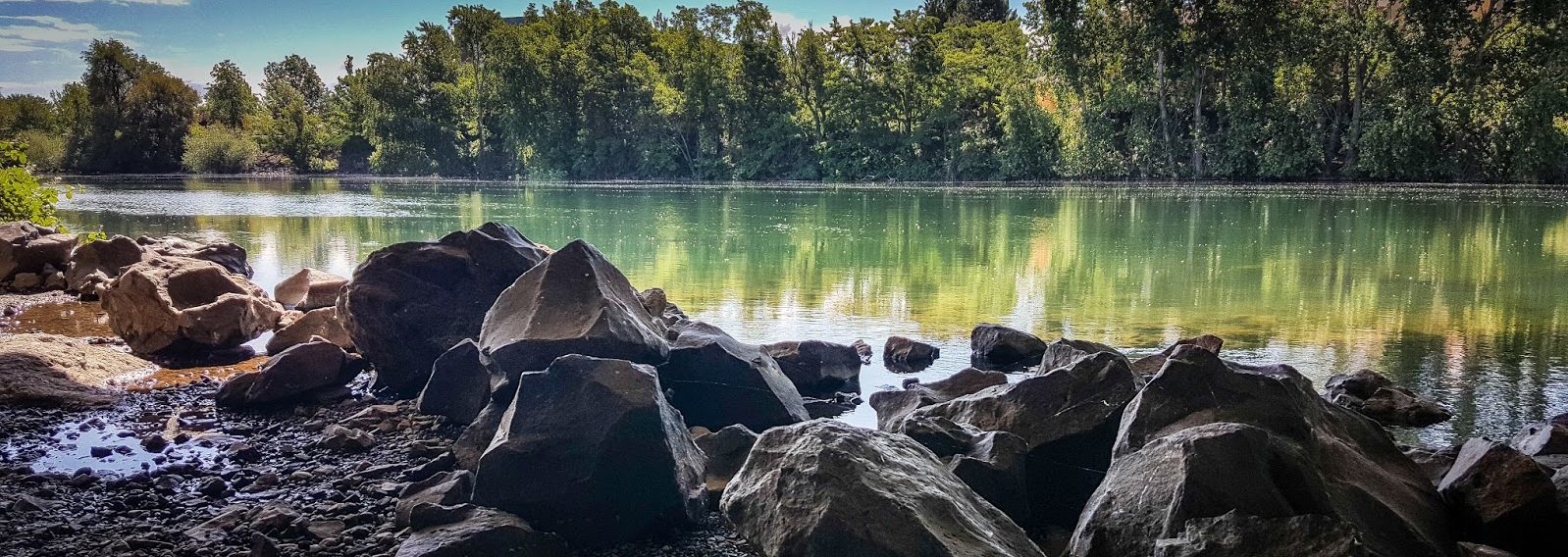 Spokane River Run April 19, 2020